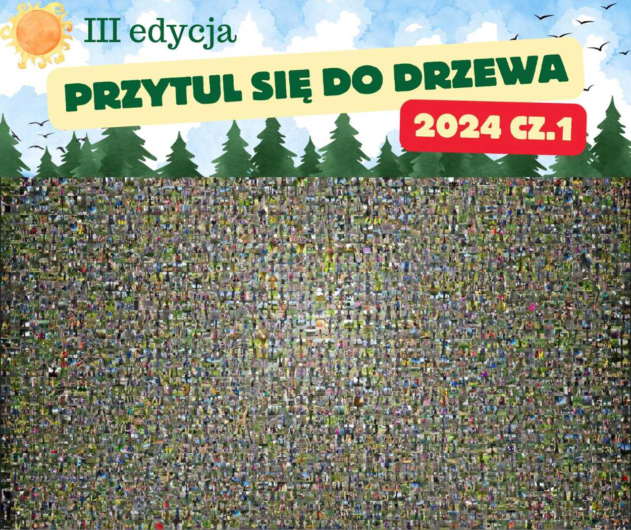 Przytul sie do drzewa 